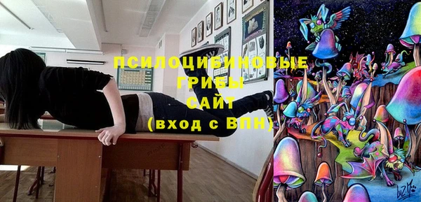 спиды Няндома