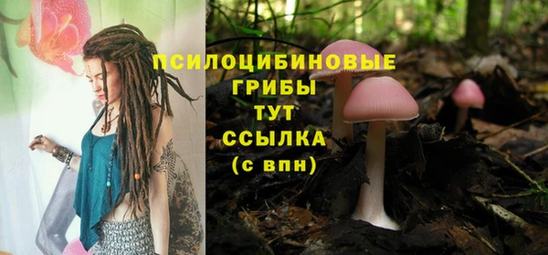 COCAINE Переславль-Залесский