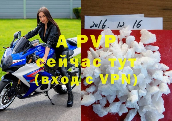 трава Пересвет